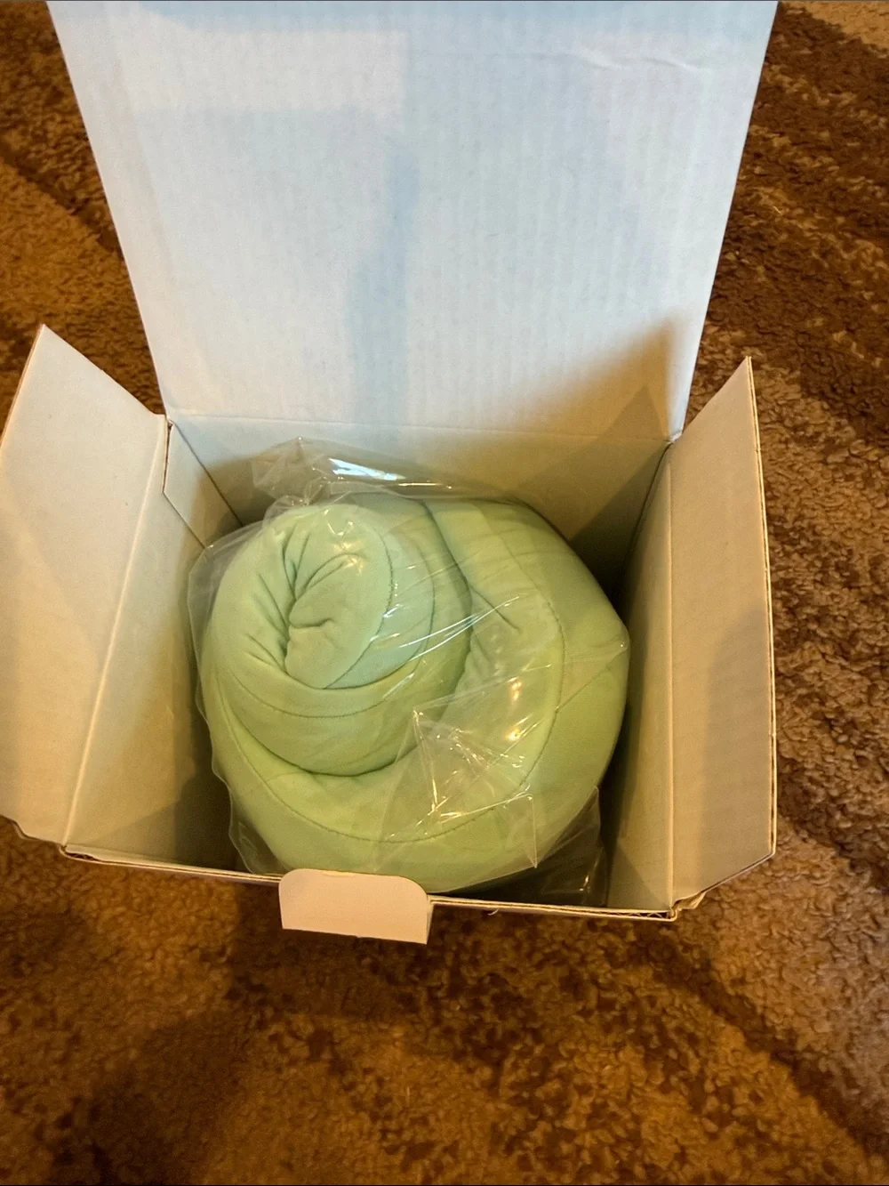 Mint Green Contour Travel Neck Pillow with Snap Closure